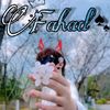 fahad193b8