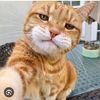 whatthefuc060