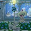 dragoncay_lody