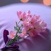 shafiq.ahmad676