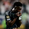 zdavidftbl