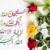 nmay.baran486