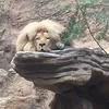 louisefield8