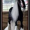 joudy.mohamed7750