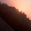 jory_5504