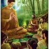 minh.minh8149
