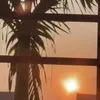 nguynhngthch4