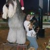 yoli14356