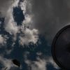malek_7829