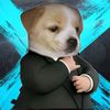 perro_chingo_bs