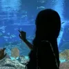 maddierae120
