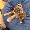 a_kool_bean_is_chill