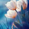 hayat.amal79