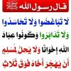 user8124305291345
