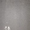user5307808758165