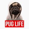 pug__mania