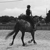 ines_bistue