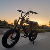 ntbike4