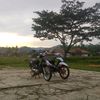 morison790