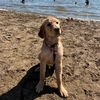 tuckerboy_unleashed