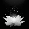 tran.linh1976