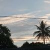 selvi.yanto8