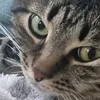 nataliy_nataliy1234