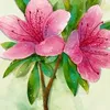 nguyn.ngoan741