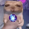 ntm_1709