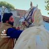 arbab6881