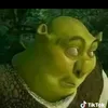 ebehaysuy11th9