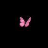 butterfly988.com