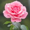 aftabali.shaikh63