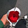 nesrine_674