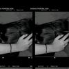 adelia_101010
