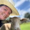melissasfunnyfarm