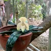 BaoNammini84