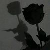 73684727863sa