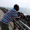 aliabdulmenam11