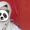cattchu1