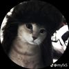 hypno863