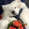 chonlee_047