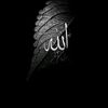 user597654330