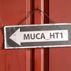 muca_1h1_