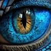 user56200953678177