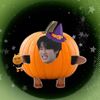 straykidsfangirl73