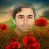 hussain.afghan20