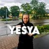 yesya44444