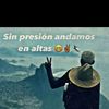 ale_xx406