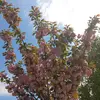 userfaith553